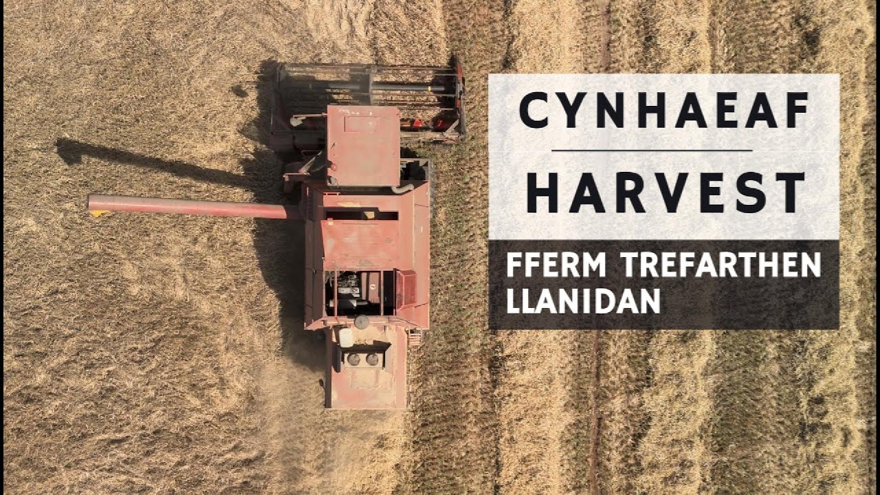 Harvest time down the farm