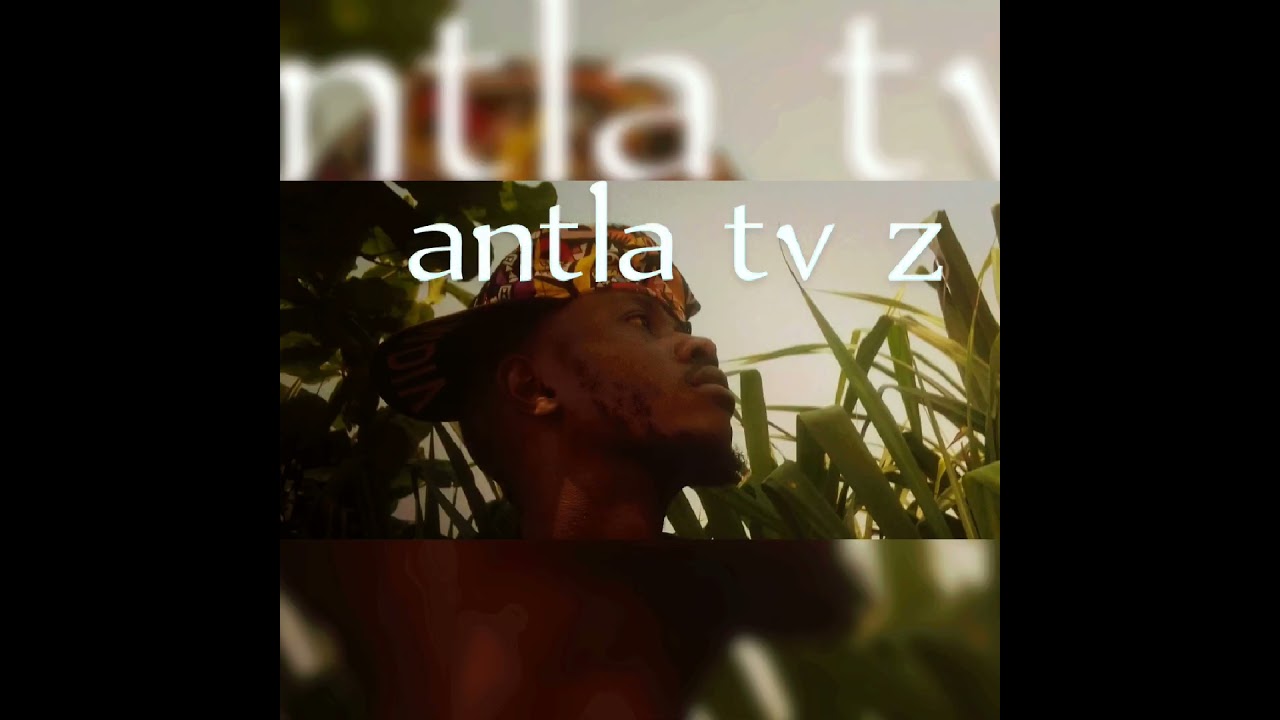 Antla tv z