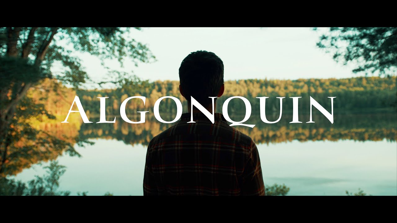 Camping in Algonquin | BMPCC-6K Cinematic Video | Sigma 18-35