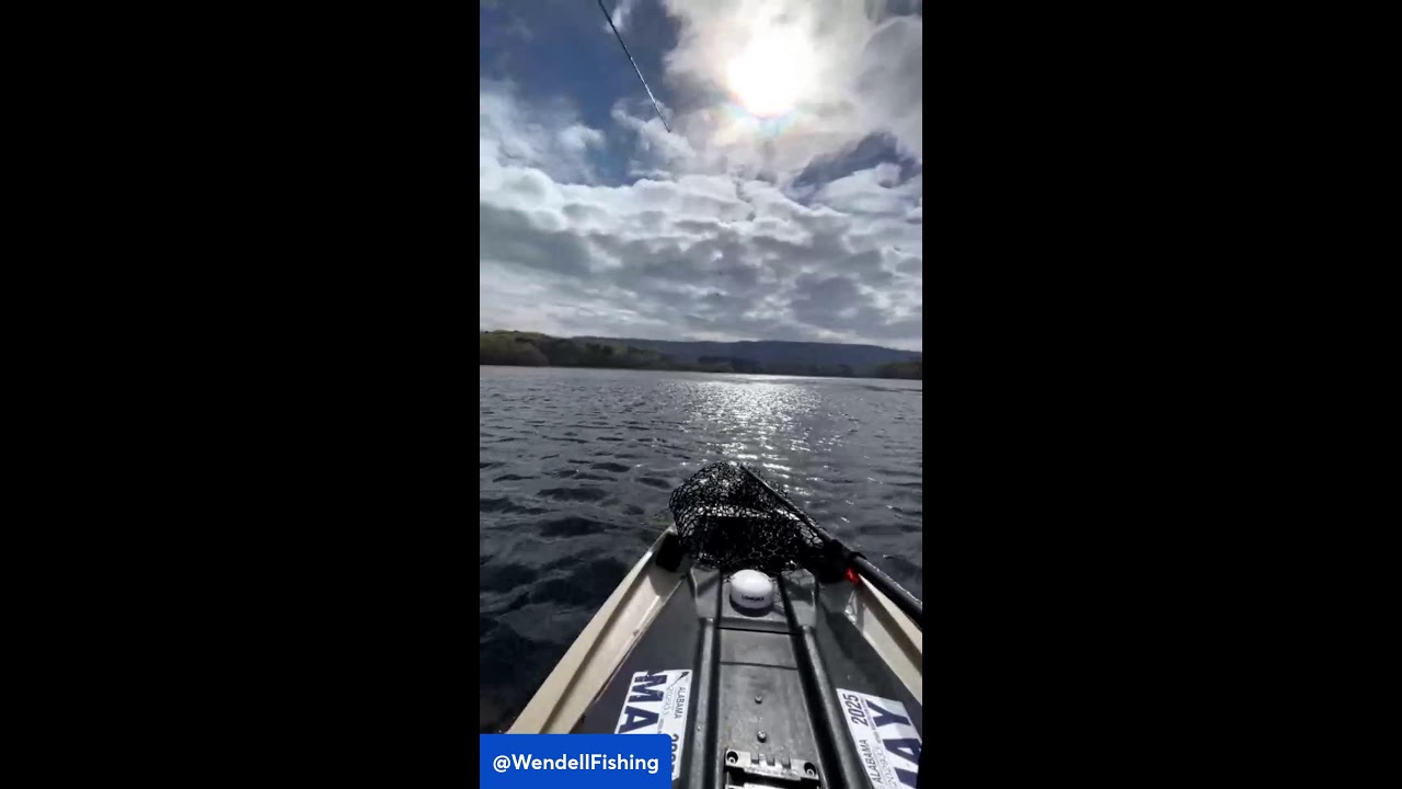 LIVE from Guntersville!