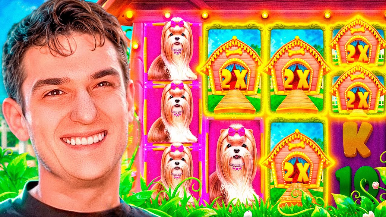 ПРИЯТНЫЙ ЗАНОС В DOG HOUSE MEGAWAYS / ЛУЧШИЕ ЗАНОСЫ ЭВЕЛОНА ЗА НЕДЕЛЮ