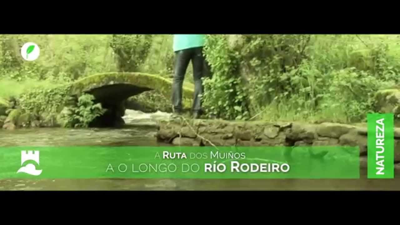 RODEIRO Natureza