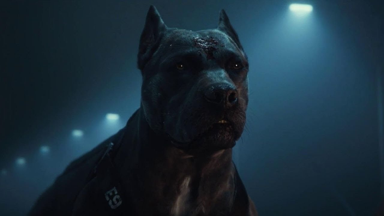 Project Silence - Movie Recap (2024) | Dog Wants Revenge to Kill her Puppies