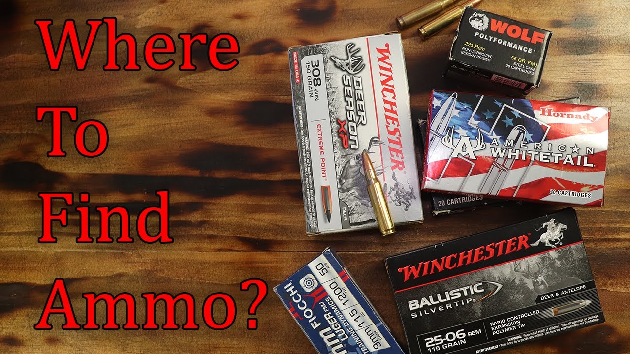 Where To Buy Ammo In 2021