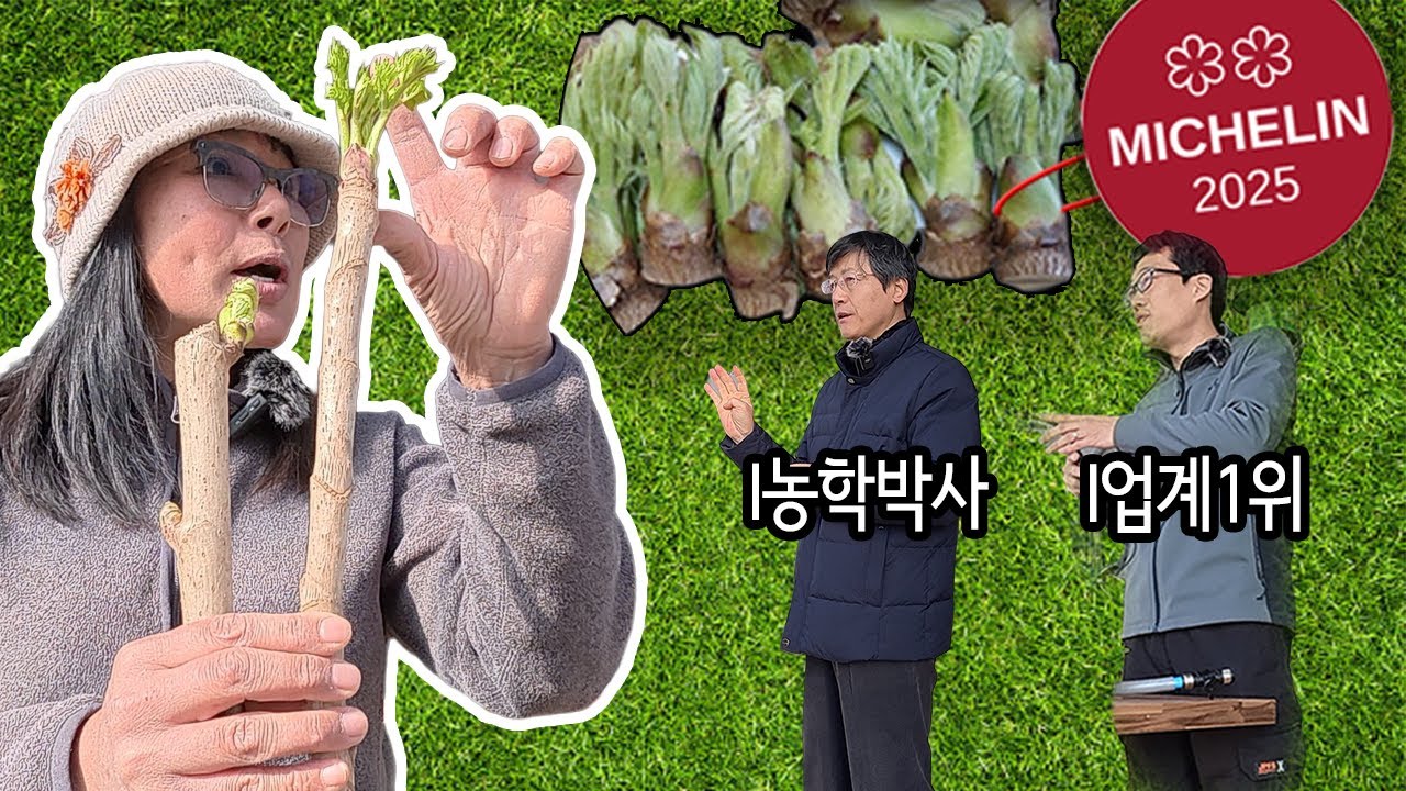 나뭇가지로 두릅을 만드는 방법 _ 두릅단마디 촉성재배 이론교육