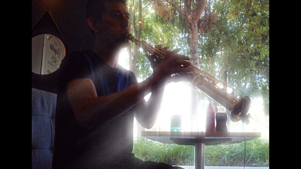 Purple Rain - Prince - Soprano sax cover