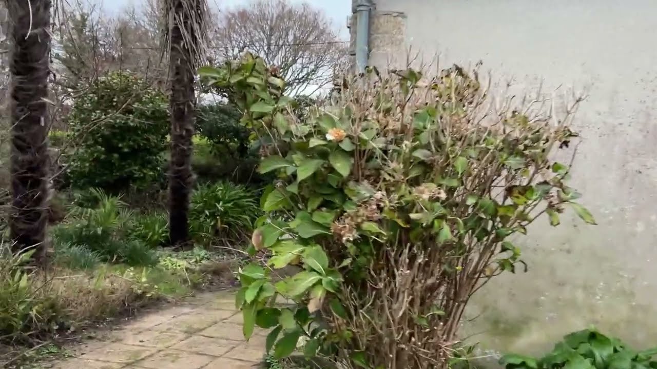 [OFFRE ACCEPTÉE] Maison à rénover entre PONT-L'ABBE et LOCTUDY - B779