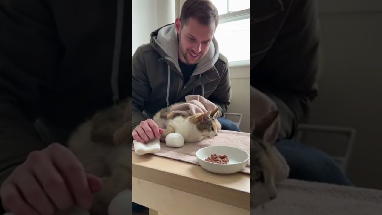Left in Snow With Her Baby… Then Someone Did This  Full Video 🤍⭐ #cat #kitten #puppy #animals #pets