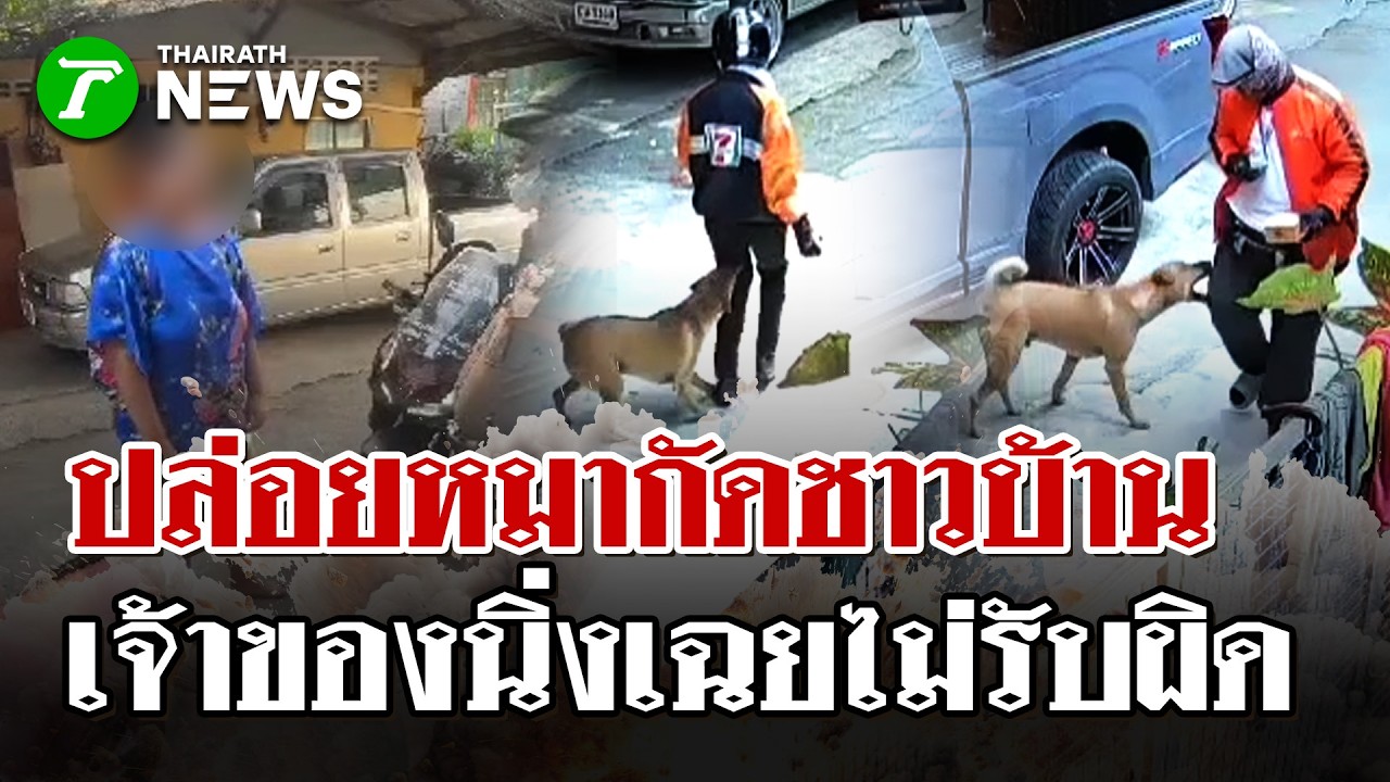 เพื่อนบ้านปล่อยโฮ่งไล่กัดไรเดอร์-ชาวบ้าน เจ้าของนิ่งเฉยไม่รับผิดชอบ | 28 ก.พ. 69 | ไทยรัฐนิวส์โชว์