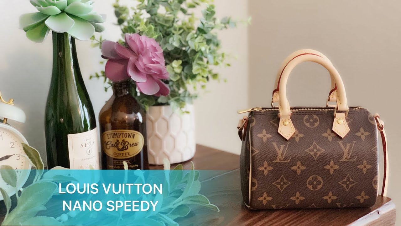 LOUIS VUITTON NANO SPEEDY | Organizer