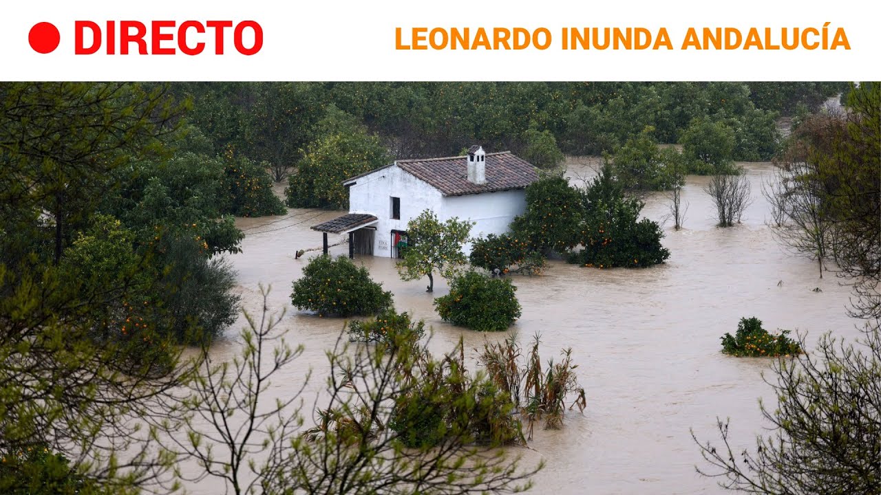 DIRECTO | BORRASCA LEONARDO | ÚLTIMA HORA SOBRE LAS INUNDACIONES EN ANDALUCÍA