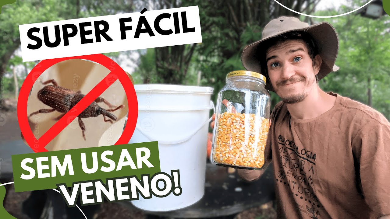 Como guardar sementes livres de CARUNCHOS/GORGULHOS