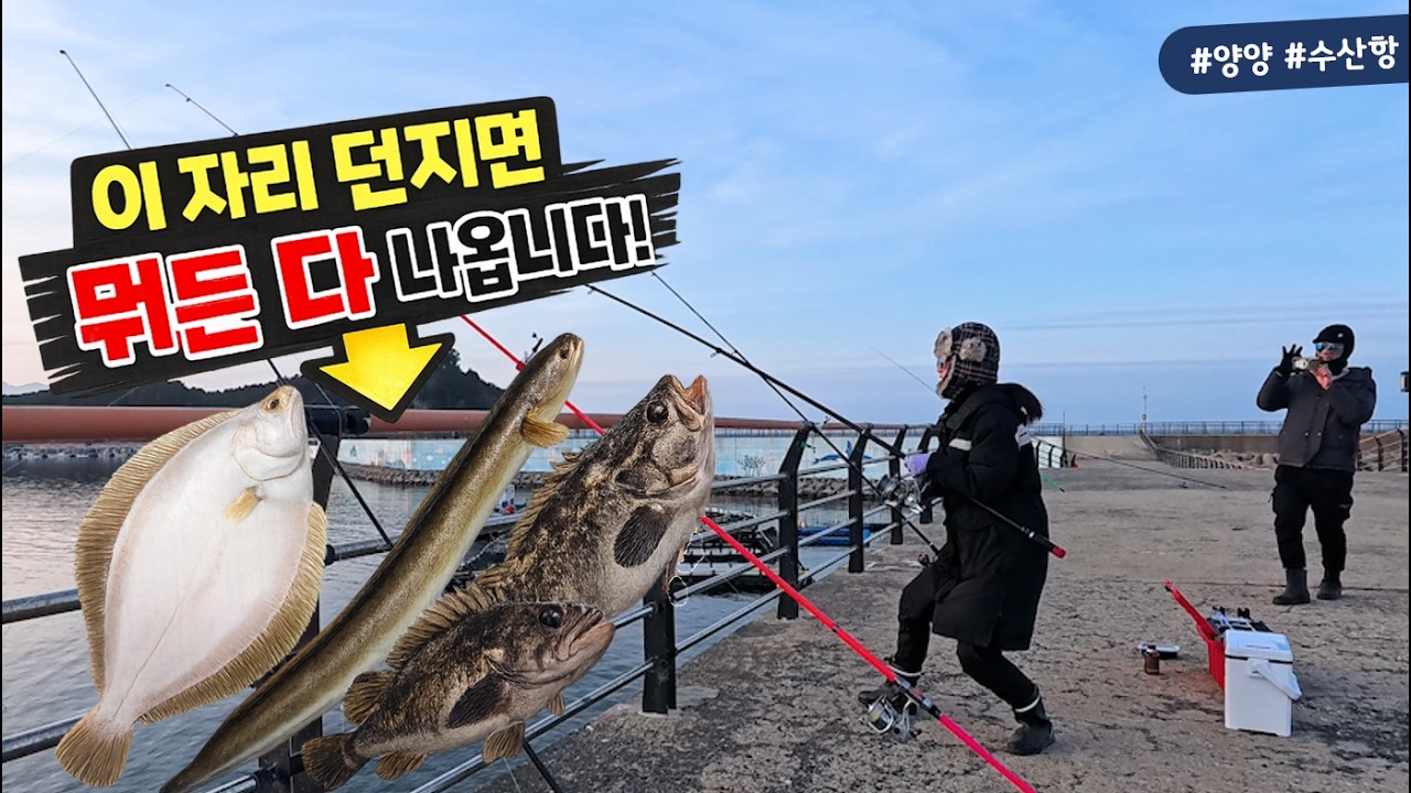 수산항 이 자리, 던지면 뭐든 나온다! 이게 가능하다니?