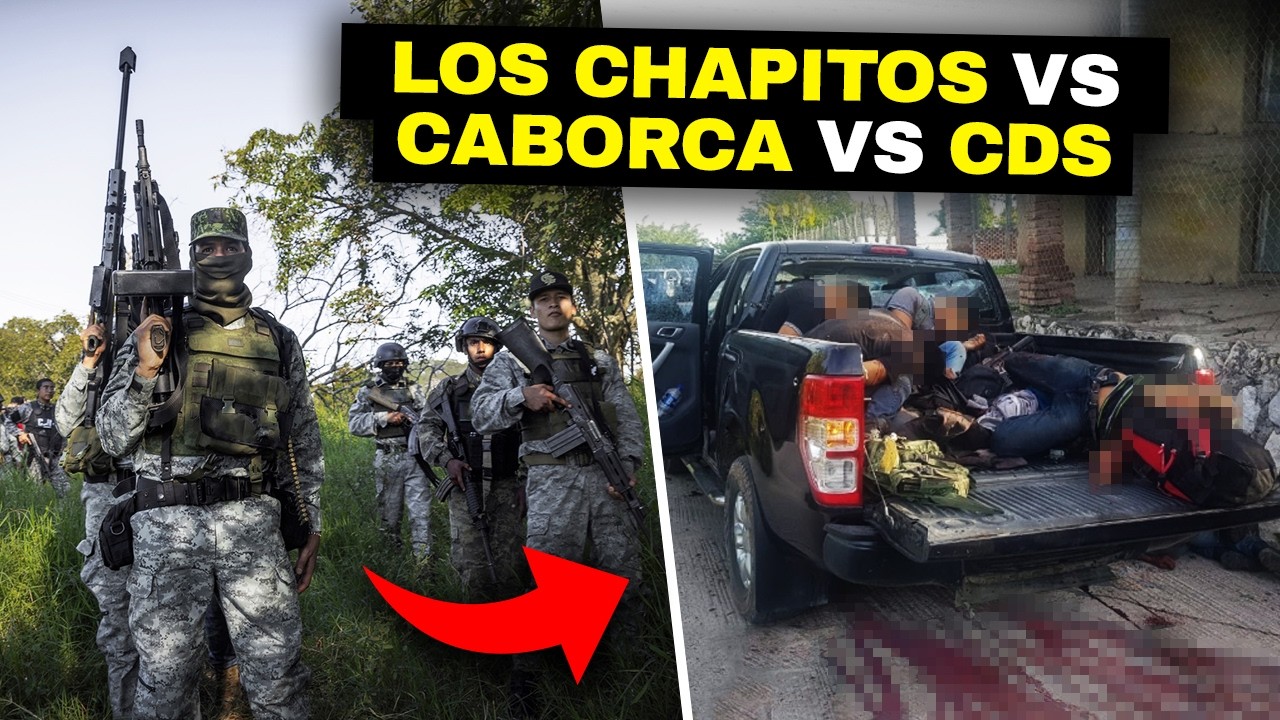 La brutal GUERRA entre los Chapitos vs C&Aacute;RTEL de Caborca y Sinaloa por el CONTROL de M&eacute;xico
