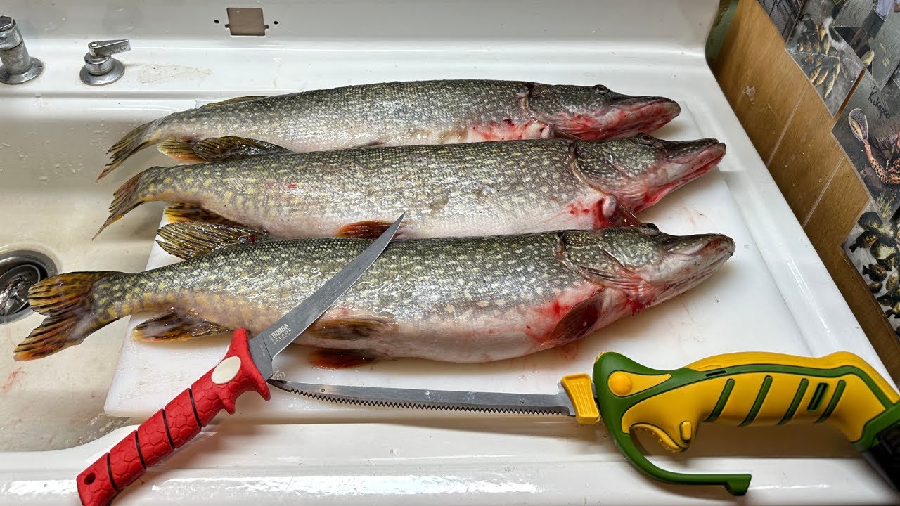 How to Clean Northern Pike with Zero Wasted Meat