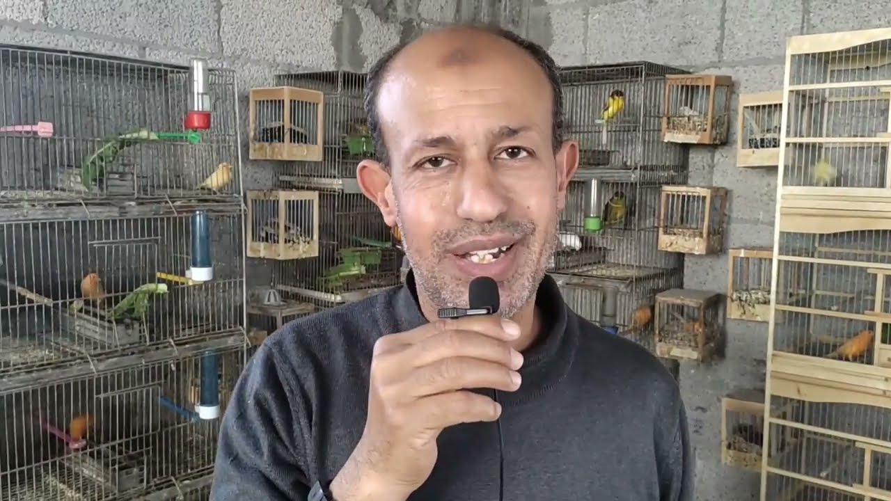 العلاج السحري للنهجة والرشح #فطم الفروخ شرح وتوضيح 🌺
