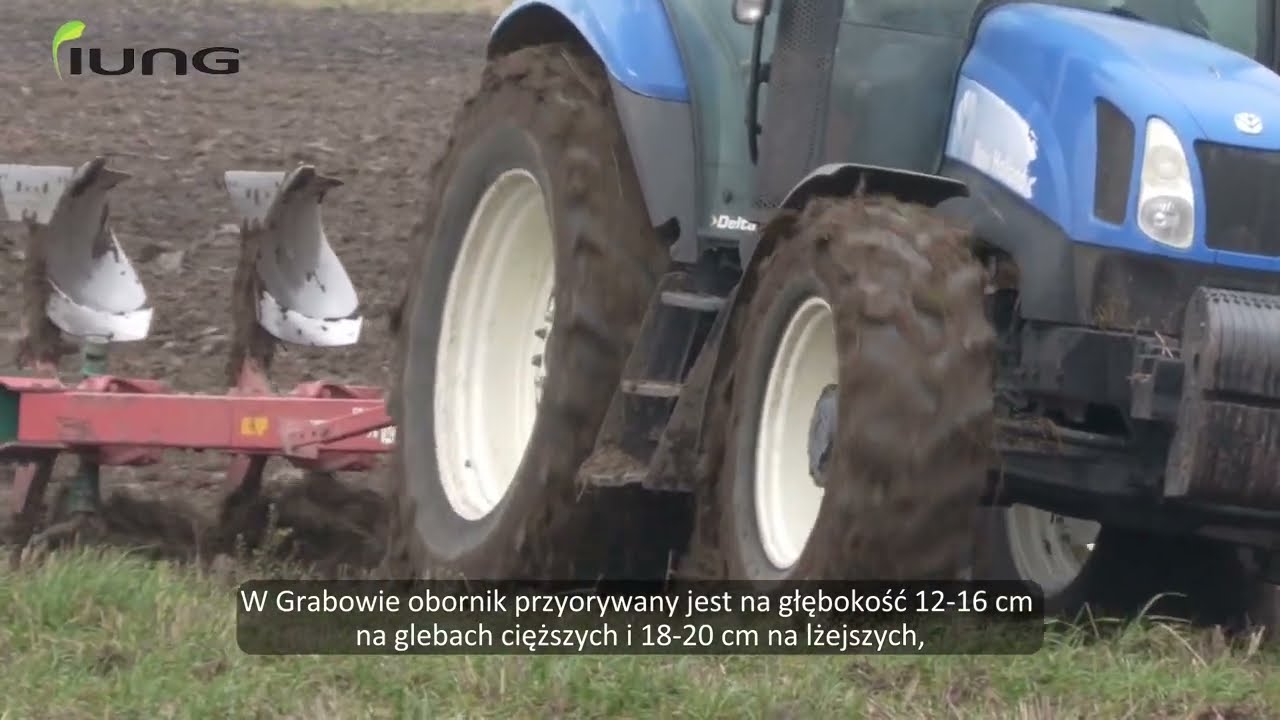 Nawożenie obornikiem