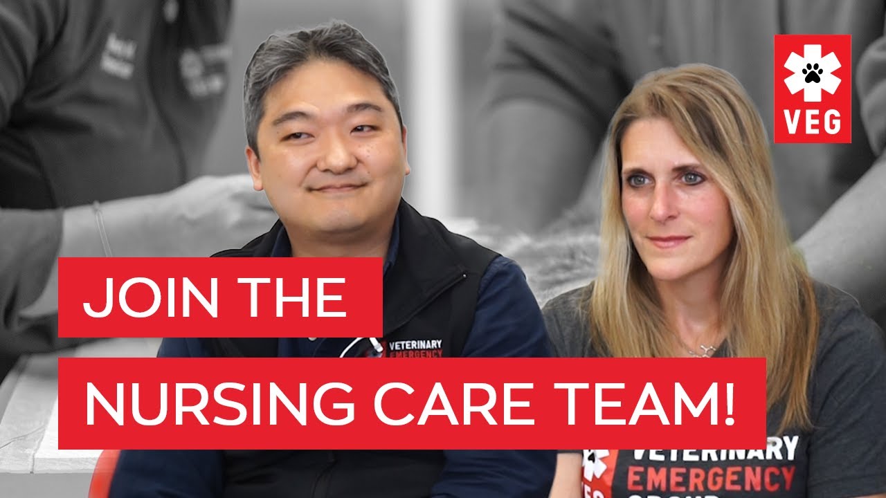 Reimagining Emergency Veterinary Nursing