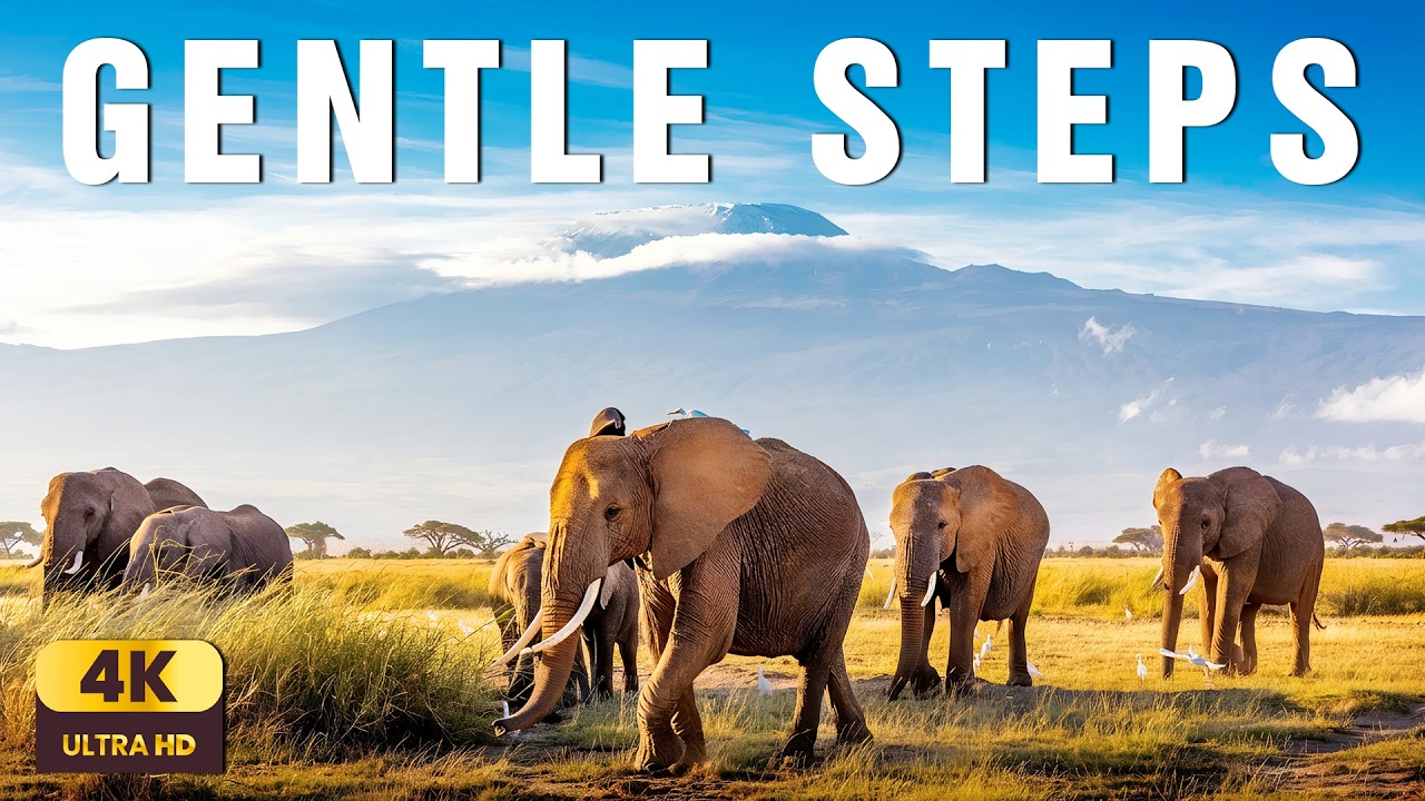 The Slow Walk of Elephants | Relaxing Wildlife & Timeless Savannah Movement