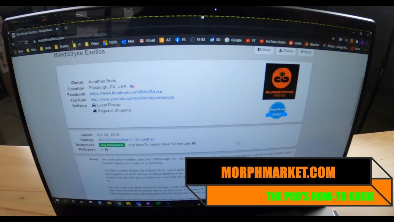 A MORPHMARKET PRO'S HOW-TO GUIDE! Part 1. Seller Profile & Store Policy