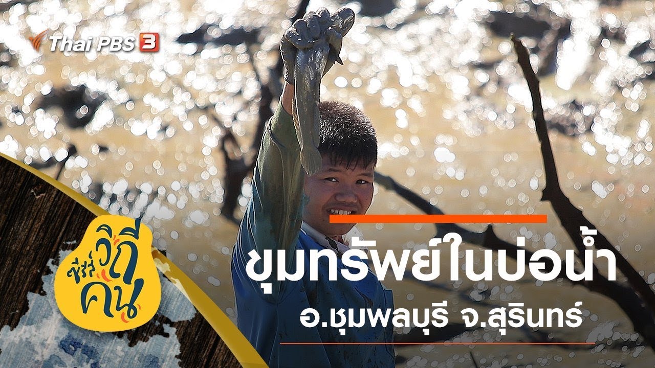 [Live] ขุมทรัพย์ในบ่อน้ำ อ.ชุมพลบุรี จ.สุรินทร์ : ซีรีส์วิถีคน (30 ธ.ค. 62)
