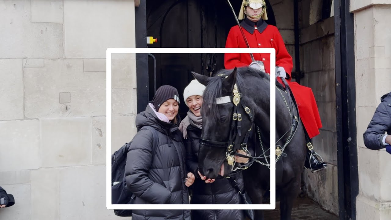 RUDE TOURISTS GRABS THE HORSE BY THE NECK JUST FOR PHOTOS IS VERY DISRESPECTFUL