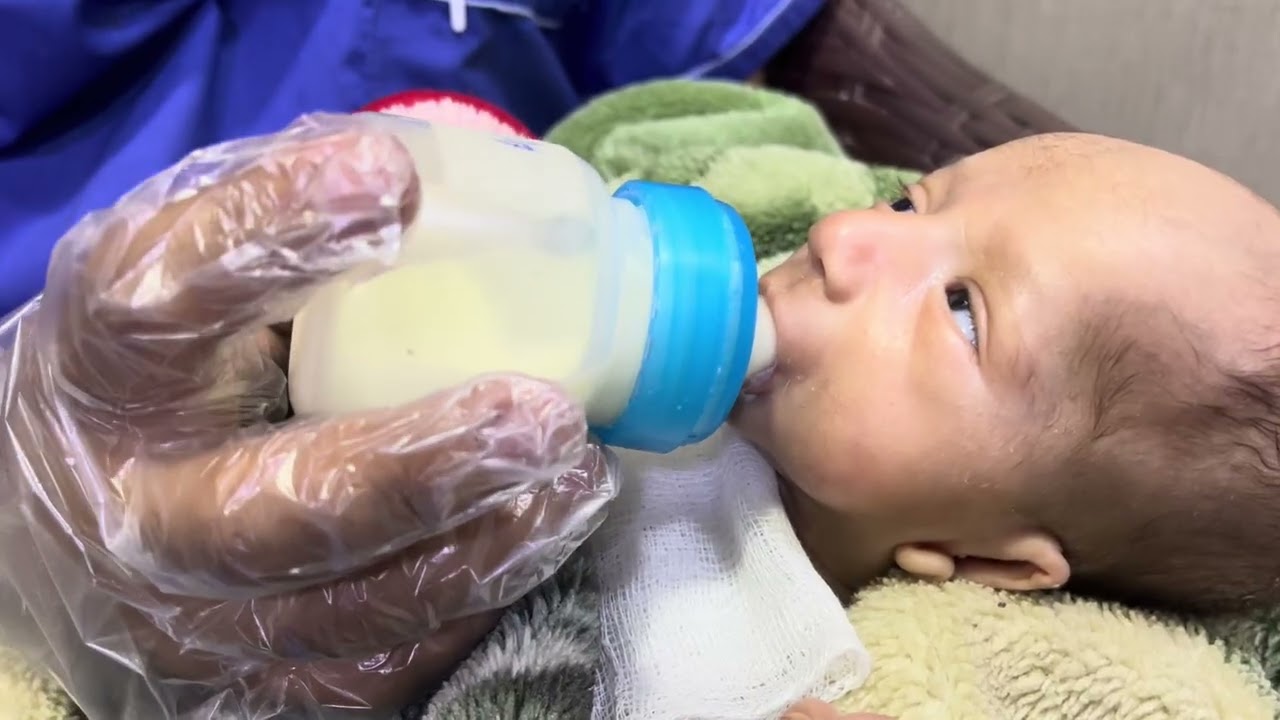 Feeding Adorable Cute Baby 🍼👶🤍 | Gentle & Calm Newborn Feeding #BabyFeeding #NewbornCare 