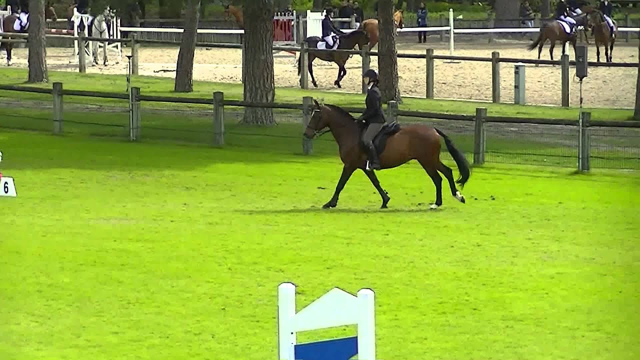 Championnat régional hunter club 1 - Fontainebleau