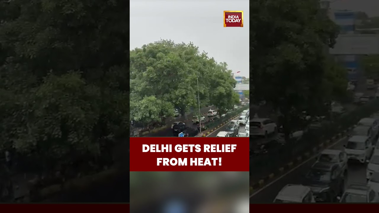 Delhi Gets Relief from Heat! Heavy Rain Follows Intense Dust Storm #weather #duststorm #delhi