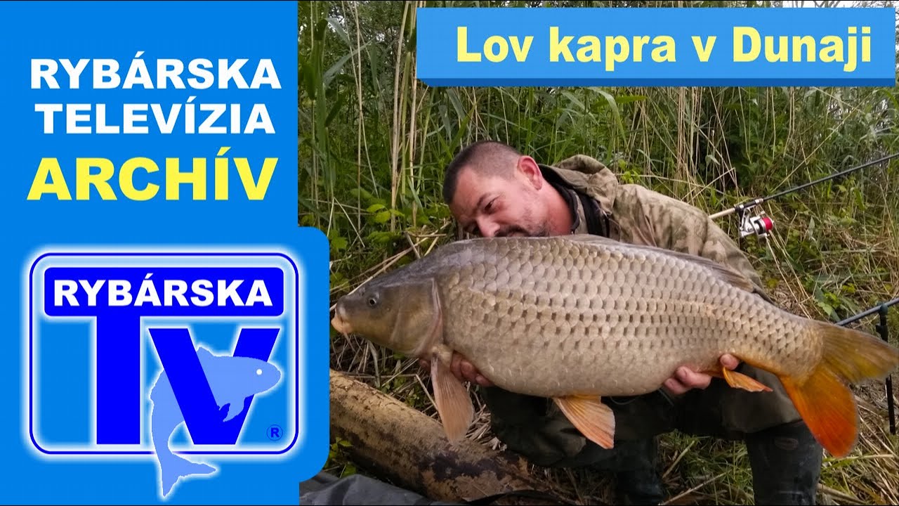 Z ARCHÍVU RYBÁRSKEJ TELEVÍZIE TAKTIKA ÚSPEŠNÝCH RYBÁROV: KAPRARINA & FEEDER