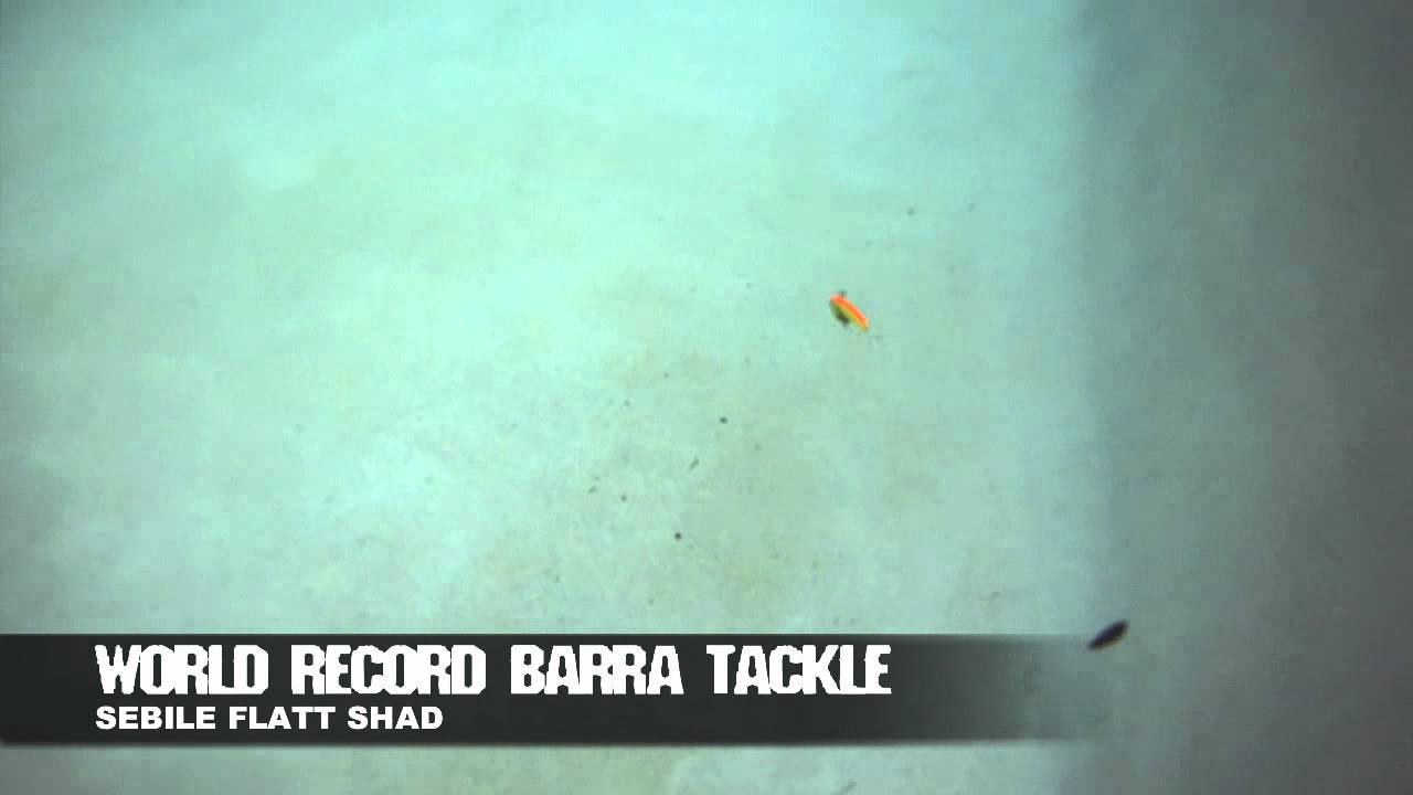Sebile Flat shad