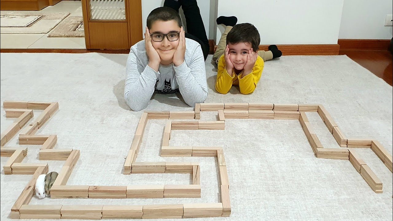 Berat ile Buğra Ahşap Bloklardan Hamster Parkuru Yaptı. Hamster Maze Fun Kids Video