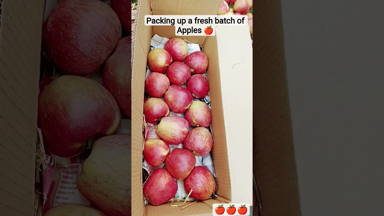 🍎#How To Pack Apples#Apple packing