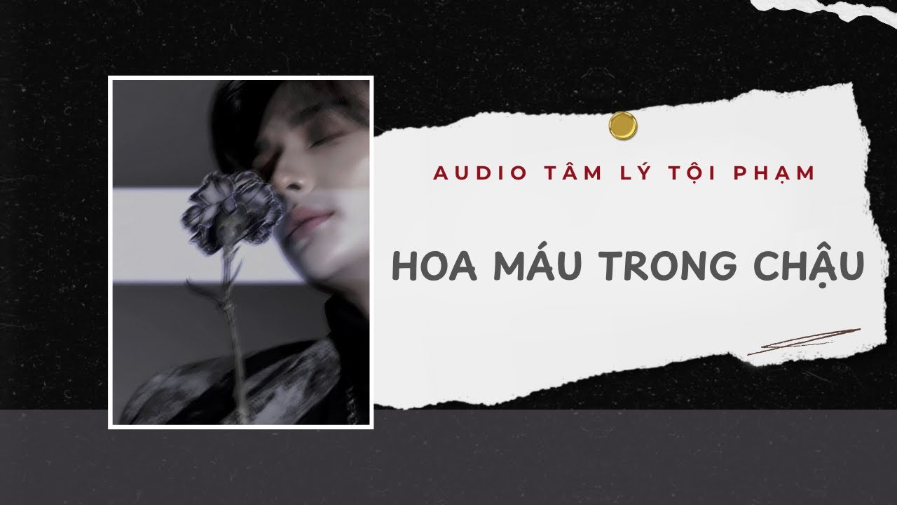 Audio Tâm Lý Tội Phạm | Hoa Máu Trong Chậu – Lá Xanh Che Máu Đỏ | Lien Tan