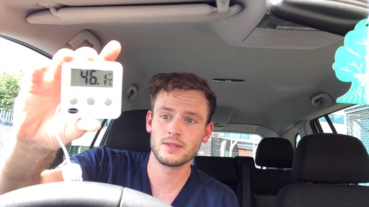 Vet Dr Rory Sits In A Hot Car To Help Stop Dogs Being Left In Hot Cars