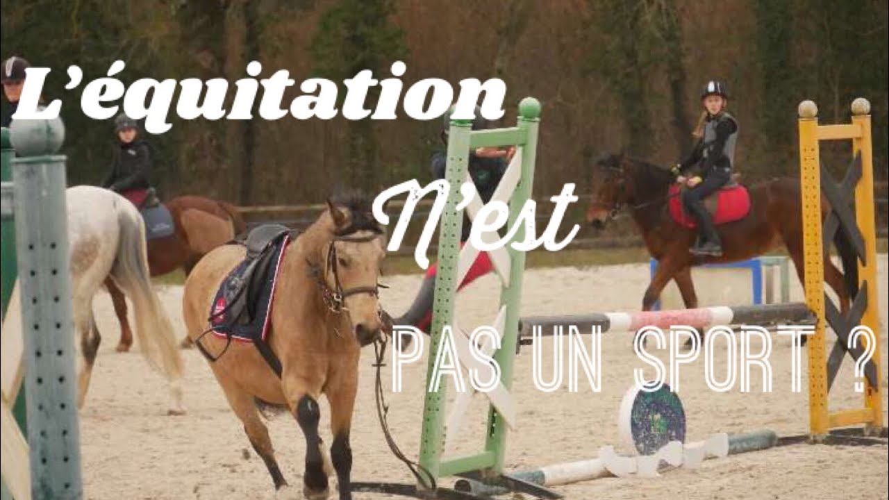 •{AUDIO} L'équitation n'est pas un sport ?!•