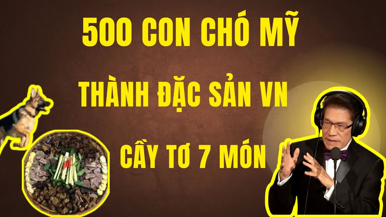 CHUYỆN HÀI THỜI CHIẾN: 500 Chó Mỹ Thành Đặc Sản Việt Nam - Chuyện Đêm Khuya | Nguyễn Ngọc Ngạn