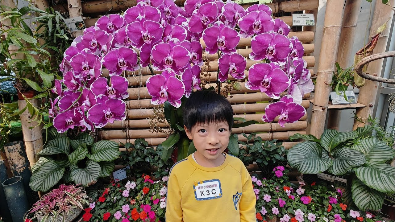 Field Trip to HK Park - Mar'26 (K3C)