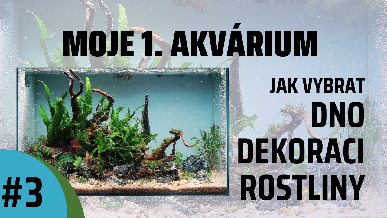 Nenáročné Akvárium Pro Začátečníky, Bez CO2 , Příručka Jak si založit Akvárium/ #3 - Výběr hardscape