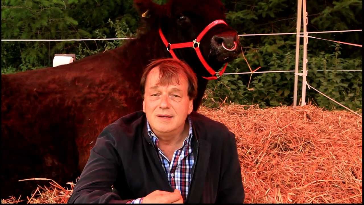 Interview Michael Aufhauser zur Kuh Yvonne