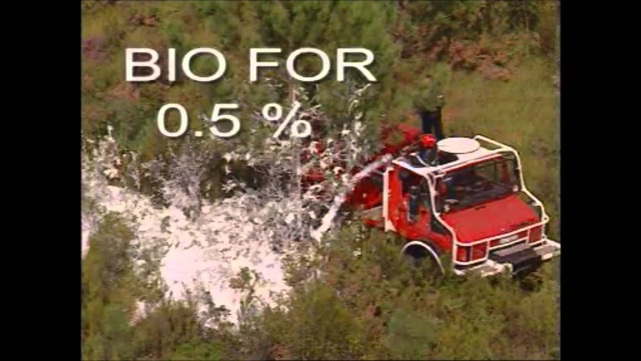 BIO FOR on forest fire - BIOex