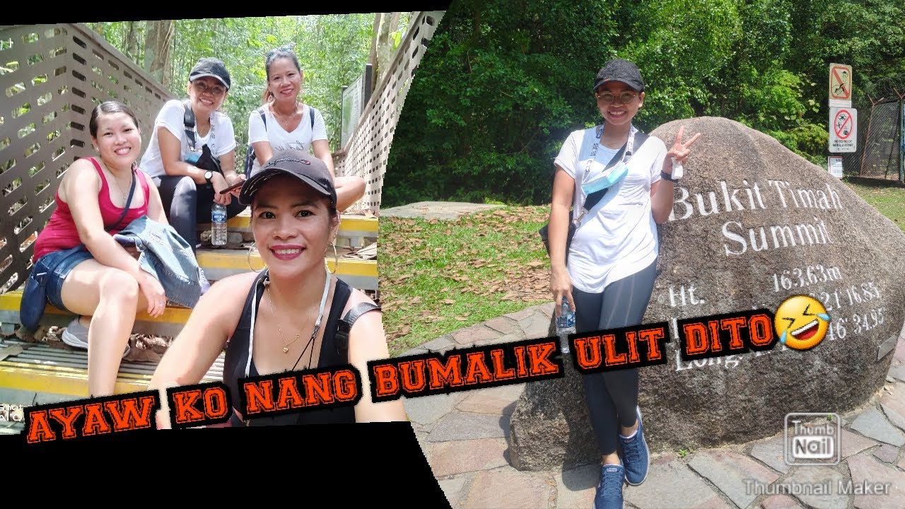 BUKIT TIMAH NATURE RESERVE/ BUKIT TIMAH SUMMIT @SINGAPORE