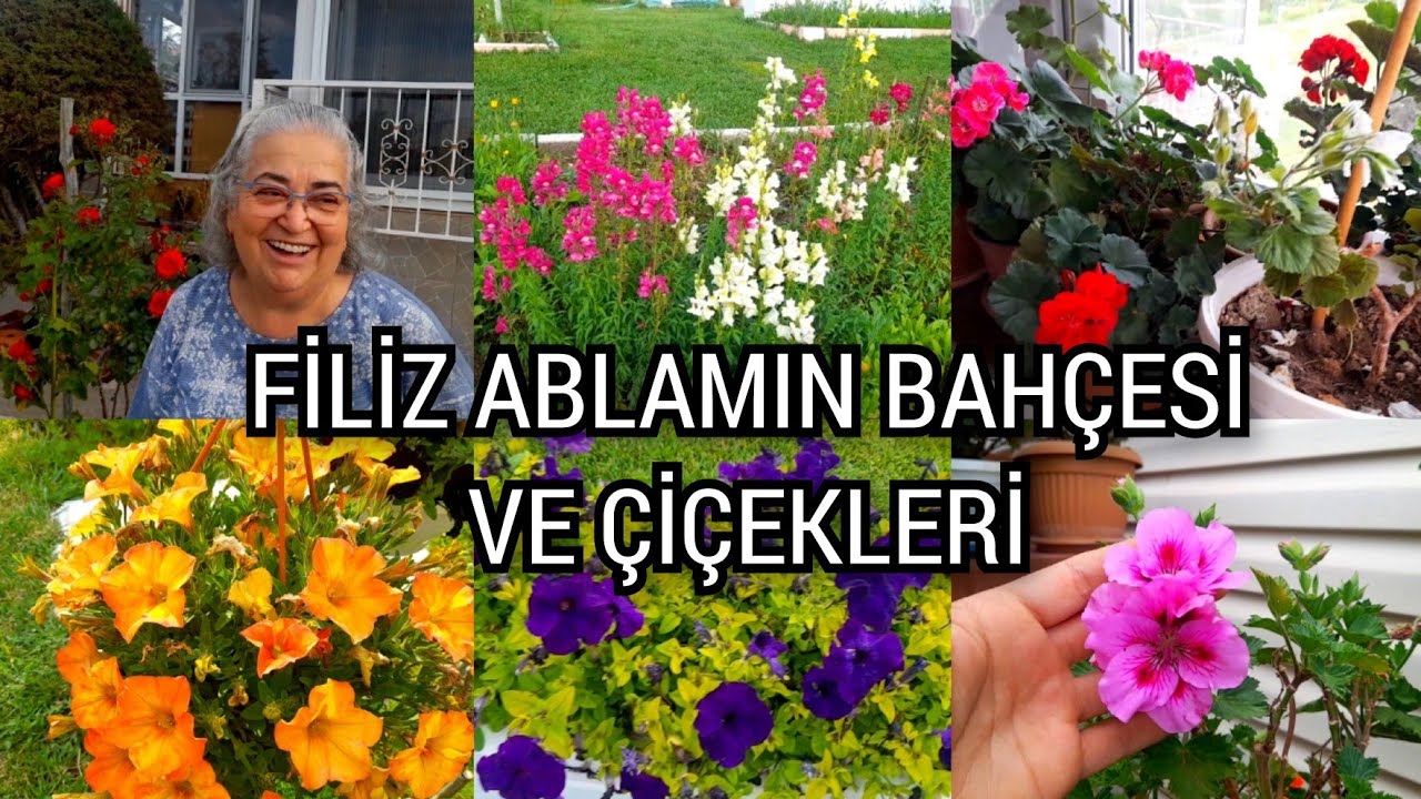 ANKARA'DAN FİLİZ ABLAMIN ÇİÇEKLERİNİ SİZLER İÇİN ÇEKTİM🪴🌺👍🥰#çiçekseverler