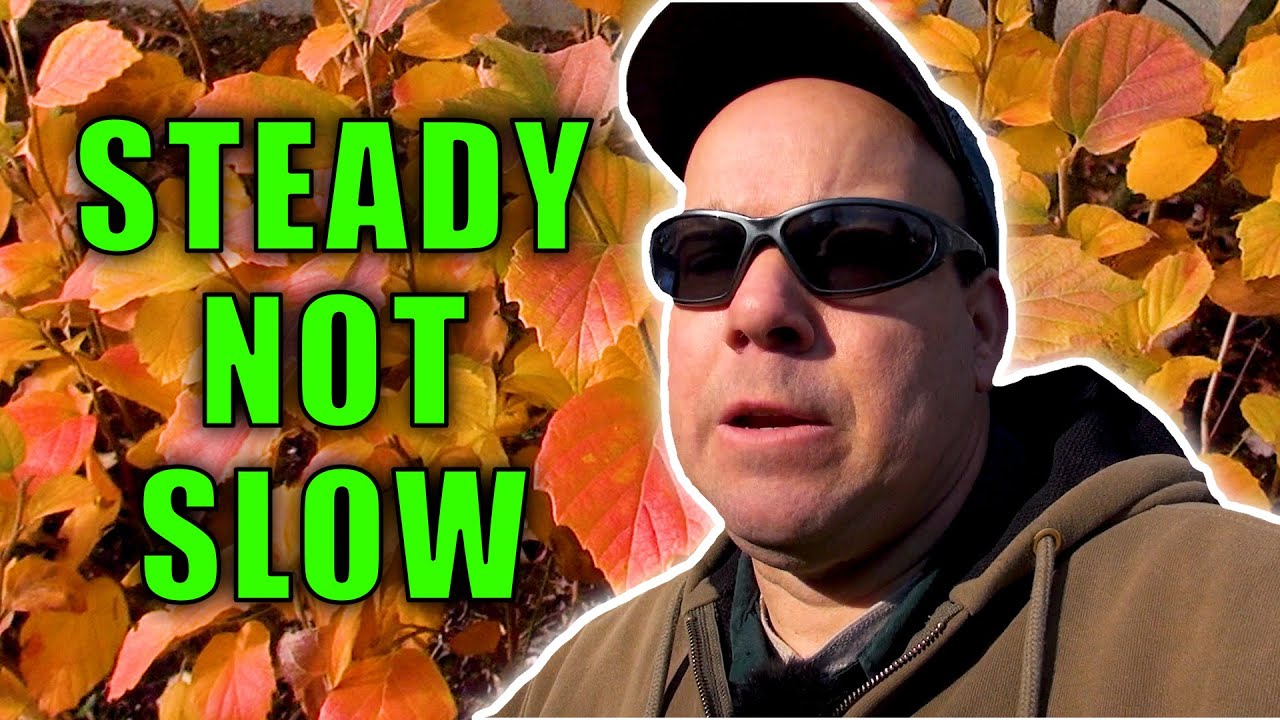 LANDSCAPE MAINTENANCE – LANDSCAPE RENOVATION – HOW TO LANDSCAPE – FINAL DAY