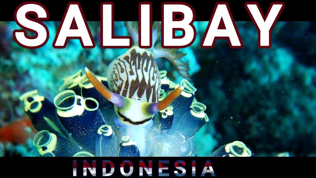 Underwater Indonesia: Salibay, a Magical Escape for Ocean Lovers
