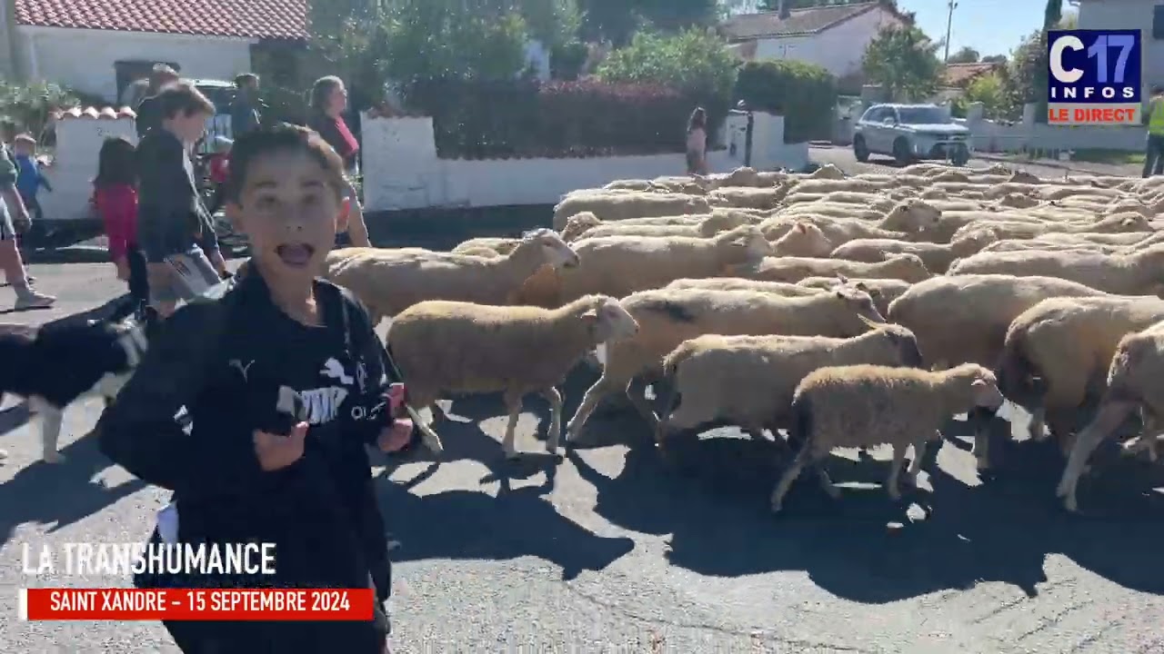 TRANSHUMANCE SAINT XANDRE 15/09/2024