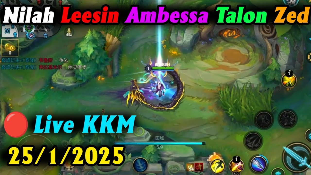 Wild Rift China server🔴Live KKM SoloQ Legendary Rank 25-01-2025