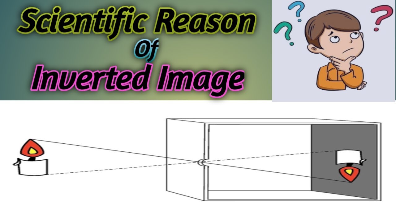 Why inverted image is formed in pinhole camera | Theory.