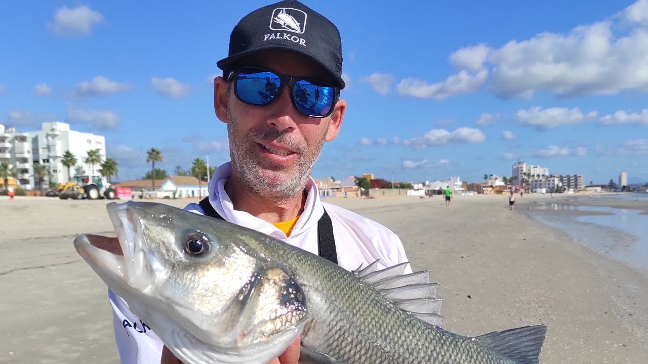 Surf -casting. Doradas a surf con final inesperado 🔥😮🎣.  #