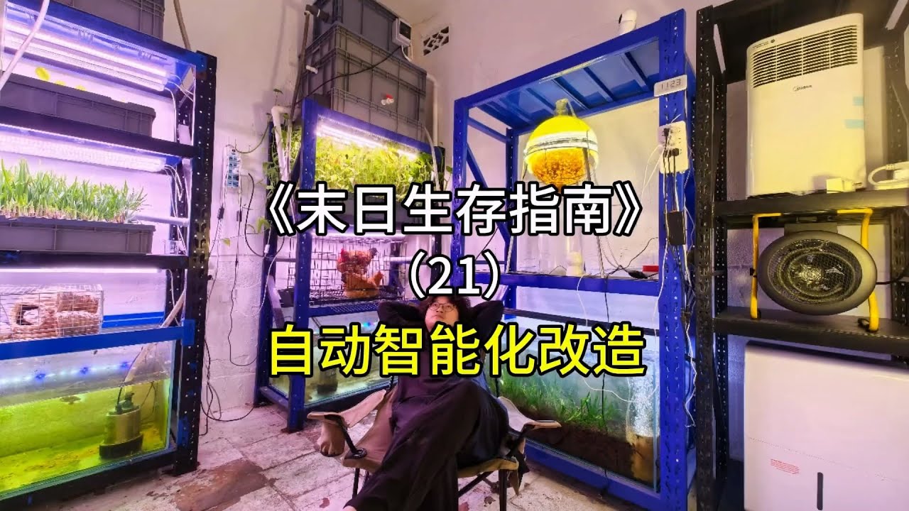 这不末日还没来嘛，做个弊没问题吧？#室内农场 #末日生存 #生态循环 #鱼菜共生 【刘惟与】